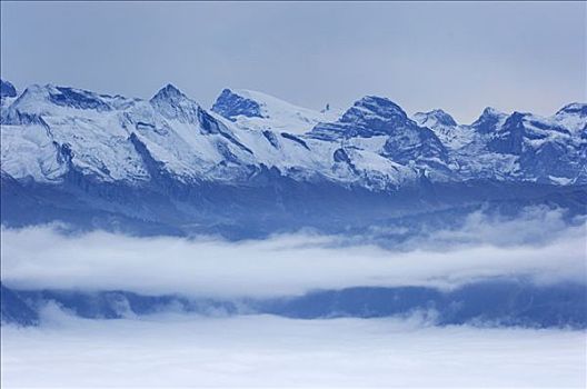 高山,全景,施维茨,瑞士