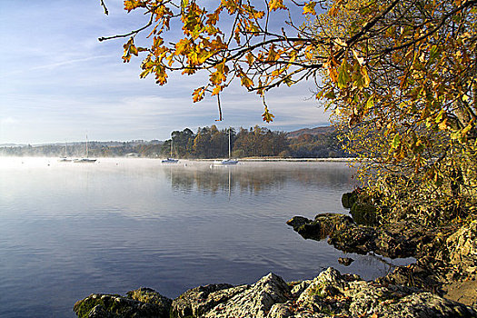 英格兰,坎布里亚,湖,秋天,色调,橡树叶,岩石,海岸线,框架,温德米尔
