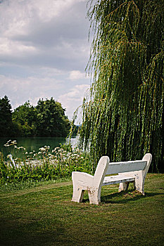 白色,长椅,河岸,乡村地区,柳树,靠近,香槟,区域,法国