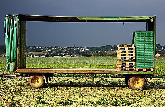 拖车,空,蔬菜,板条箱,收获,地点,北莱茵威斯特伐利亚,德国,欧洲