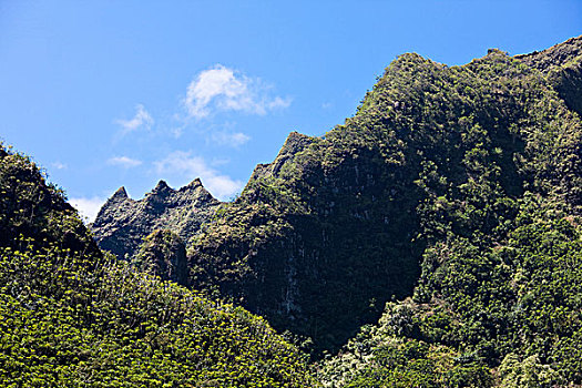 考艾岛,夏威夷,美国,陡峭,山地,纳帕利海岸,茂密,热带,植被,独特,雨林