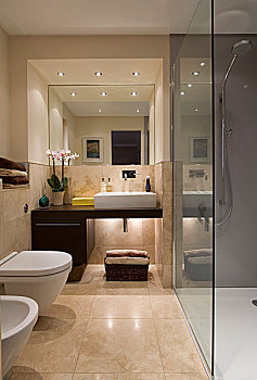 镜子,高处,盥洗池,架子,现代,浴室,淋浴,小间