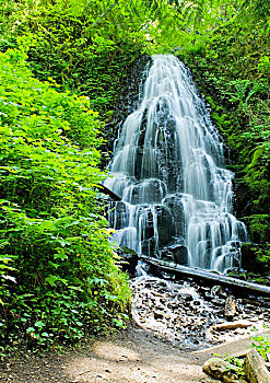 仙女,瀑布,哥伦比亚河峡谷国家风景区,俄勒冈,美国