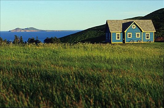 魁北克,马格达伦群岛,岛屿,蓝色,黄色,木屋,绿色植物,海洋,背景