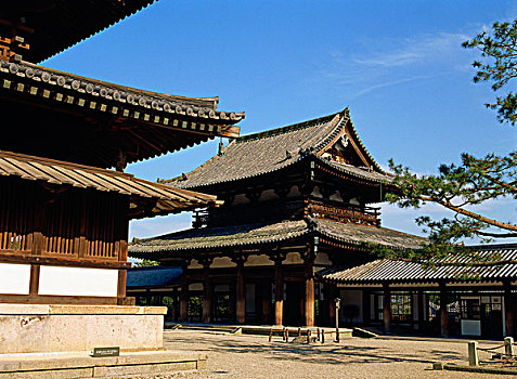 庙宇,世界,文化,奈良,日本