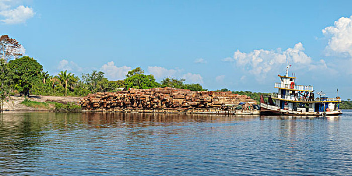 驳船,运输,雨林,原木,亚马逊河,亚马逊,巴西,南美