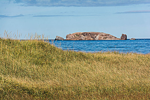 风景,岛屿,密耳角,加拿大