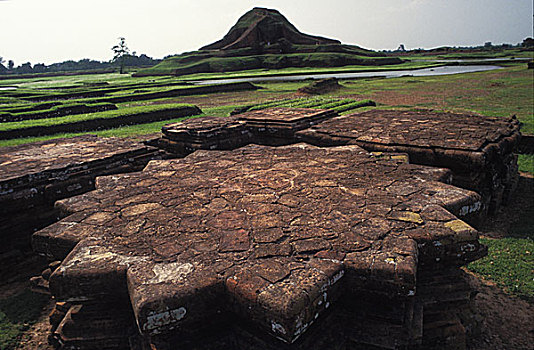 残留,佛教,寺院,旅游胜地,北方,孟加拉,国王,朋友,七世纪,乡村,西部,地区,考古,发现