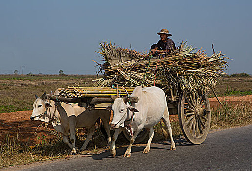 缅甸,省,运输