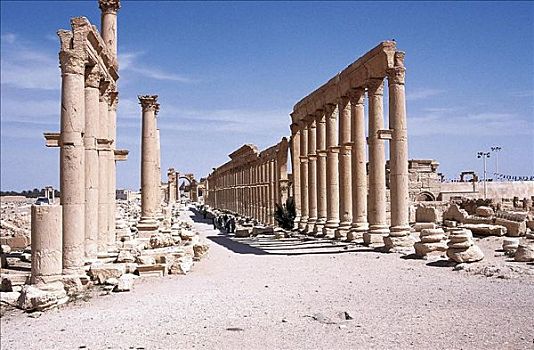 柱子,帕尔迈拉,叙利亚,遗址,世界遗产,中东,东方,亚洲