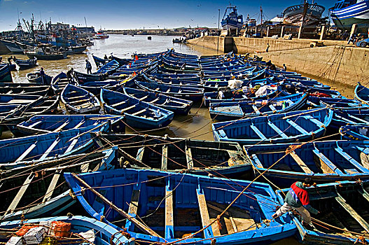 捕鱼,蓝色,船,许多,渔船,港口,苏维拉,摩洛哥