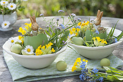 复活节兔子,蛋壳,莲香报春花,黄花九轮草