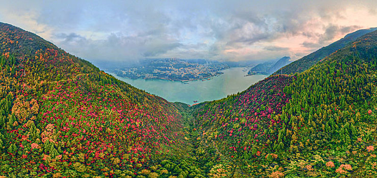 重庆巫山,红叶满山,游客如织