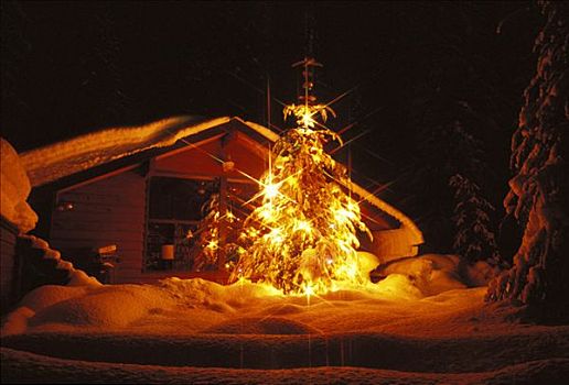 圣诞装饰,原木上,家,冬天,景色,夜晚