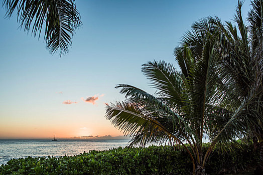 日落,瓦胡岛,夏威夷