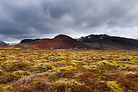 苔藓,山谷,冰岛