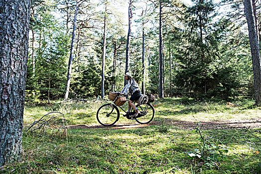 成年,女人,骑自行车,觅食,篮子,树林