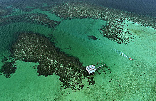 sebangkat诗邦卡岛海底美景