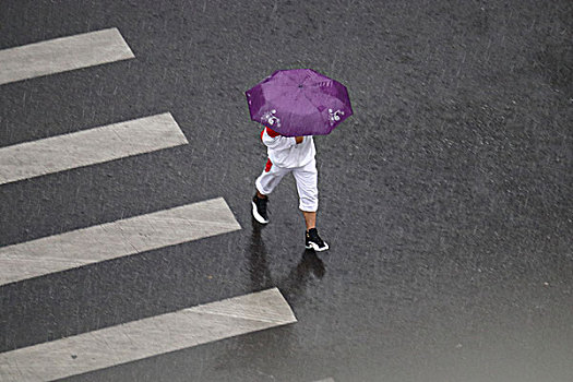 雨中行