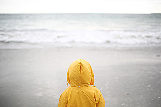 3岁,男孩,看,海洋