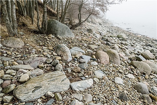 石头,海岸,波罗的海,雾