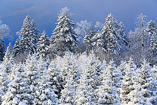 吉林省仙峰国家森林公园雪凇雪景