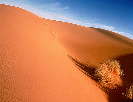 沙丘,摩洛哥