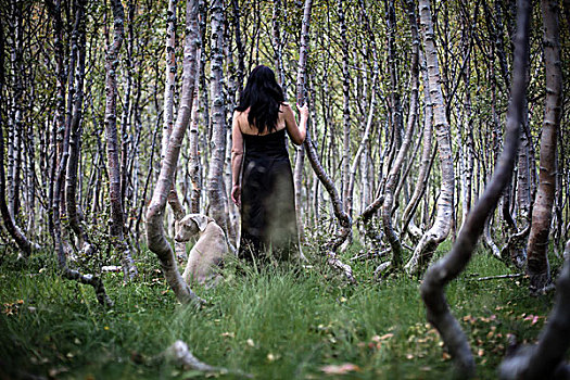 女人,魏玛犬,猎狗,桦树,树林,国家公园,挪威,欧洲