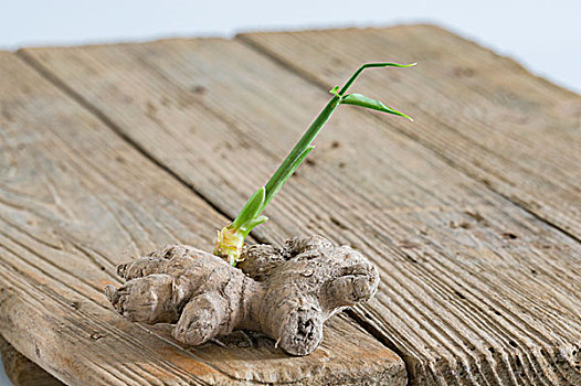 养生姜图片_养生姜图片大全_养生姜图片下载