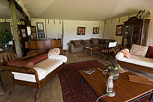 20年代,旅游,露营,马赛马拉国家保护区,肯尼亚,非洲