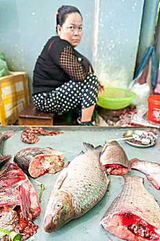鱼肉,销售,市场,金边,柬埔寨,印度支那,东南亚,亚洲