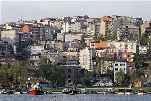 老,区域,房子,斜坡,岸边,金角湾,伊斯坦布尔,土耳其