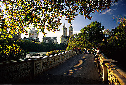 人,站立,桥,中央公园,纽约,美国