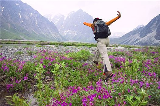 女人,远足者,跳跃,河流,远足,野花,克拉克湖,国家公园,阿拉斯加