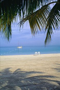 海滩,尼格瑞尔,牙买加