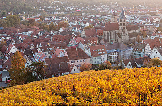 风景,城堡,老城,教堂,市政厅,埃斯林根,内卡河,巴登符腾堡,德国