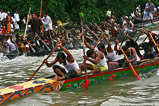 赛船,拿,节日,孟加拉,八月,2008年,流行,娱乐,活动,下雨,季节
