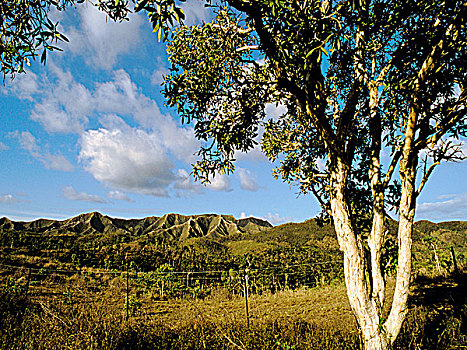 新加勒多尼亚,北部省,风景