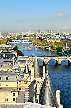 法国,法兰西岛,巴黎,俯视,河,赛纳河,世界遗产,桥
