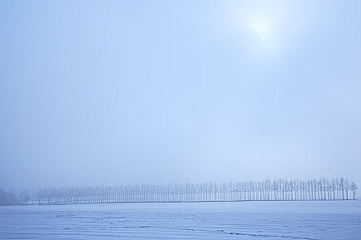 朴素,雪,北海道