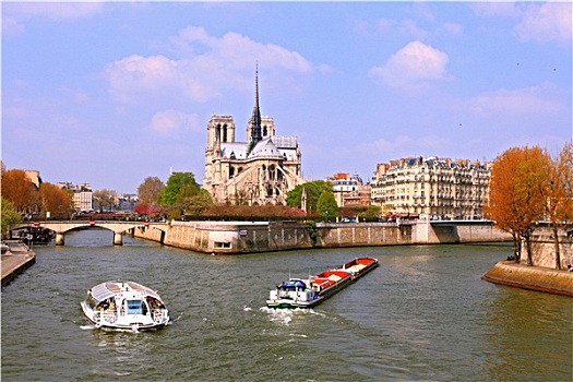 乘客,游轮,大教堂,塞纳河,巴黎,法国