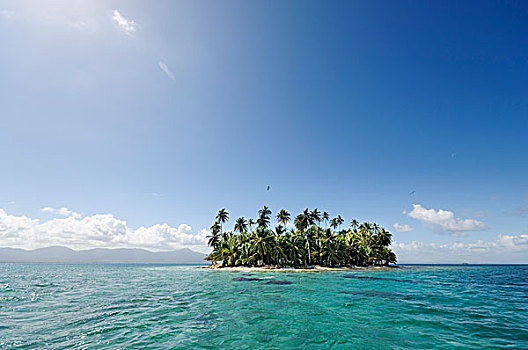 热带岛屿,棕榈树,圣布拉斯湾,岛屿,巴拿马,北美