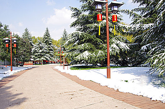 陕西西安大唐芙蓉园雪景