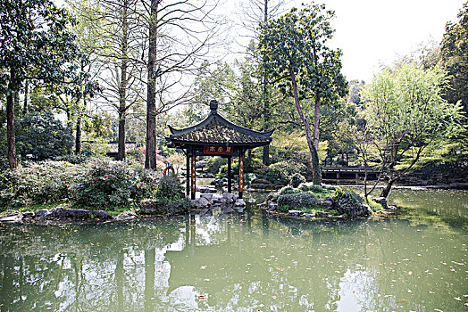 玉泉,杭州植物园,碧莹亭,园林,风景