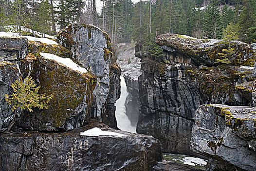 冰瀑,大石头,碧玉国家公园,艾伯塔省,加拿大