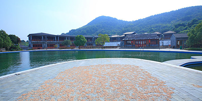 镇海,九龙人家,餐饮,民宿