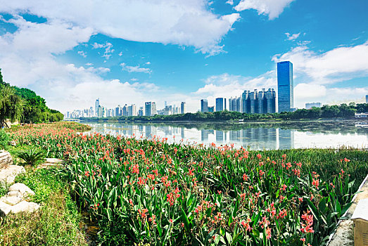 广西南宁南湖公园与沿岸城市建筑物