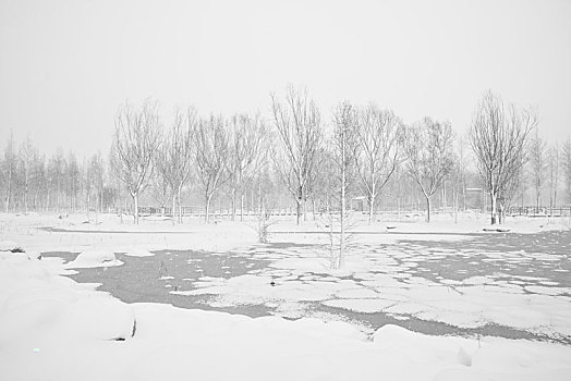 雪景