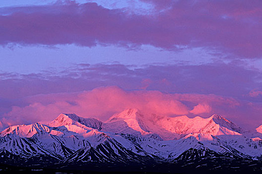 美国,阿拉斯加,德纳里国家公园,鲜明,红色,高山辉,阿拉斯加山脉,顶峰,日出
