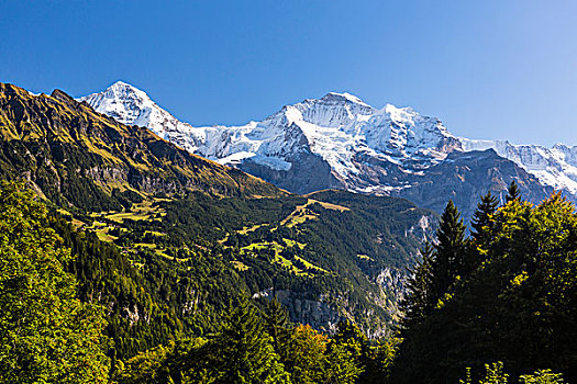 风景,攀升,贝塔峰,伯尔尼阿尔卑斯山,瑞士